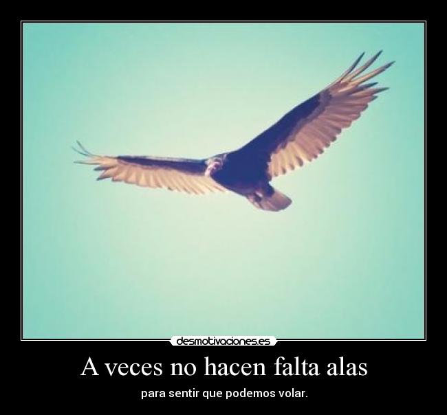 carteles ceroaladerechadespuesdecoma desmotivaciones