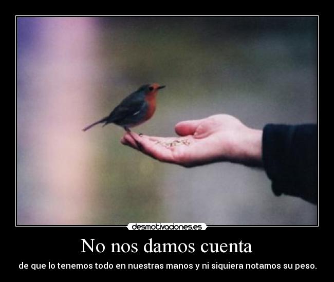 carteles ceroaladerechadespuesdecoma desmotivaciones