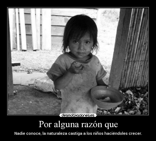 carteles ninos desmotivaciones