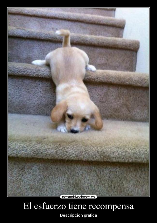 El esfuerzo tiene recompensa -