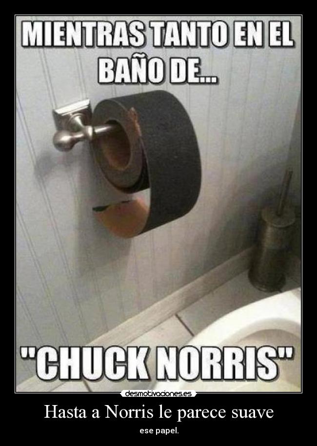 Hasta a Norris le parece suave - 