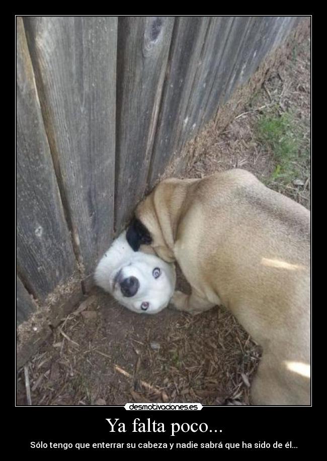 Ya falta poco... - Sólo tengo que enterrar su cabeza y nadie sabrá que ha sido de él...