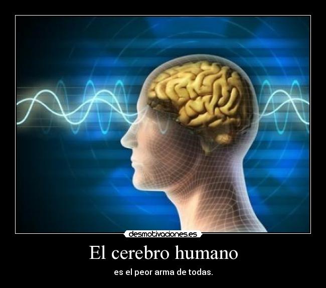 carteles cerebro humano desmotivaciones