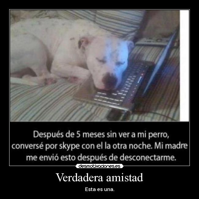 Verdadera amistad - 