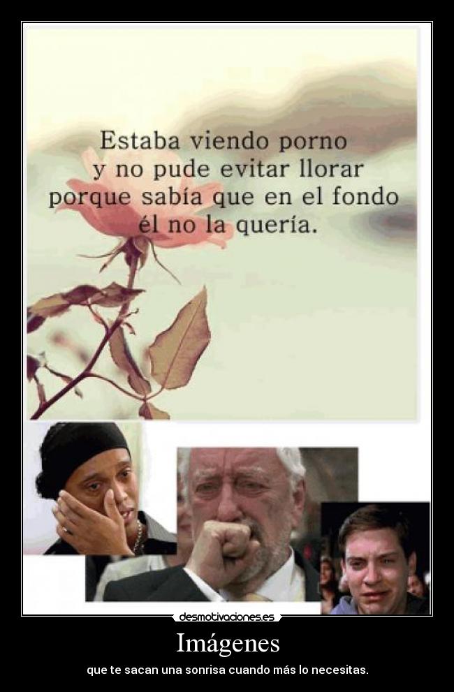 Imágenes - que te sacan una sonrisa cuando más lo necesitas.