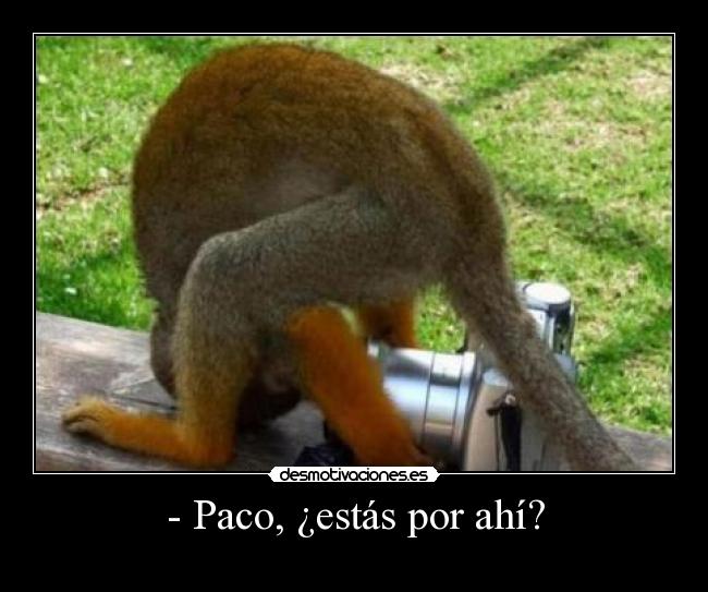 - Paco, ¿estás por ahí? -