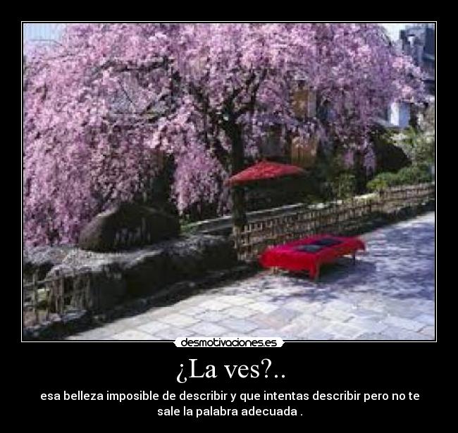 ¿La ves?.. - esa belleza imposible de describir y que intentas describir pero no te
sale la palabra adecuada .