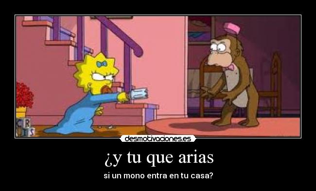 ¿y tu que arias - si un mono entra en tu casa?