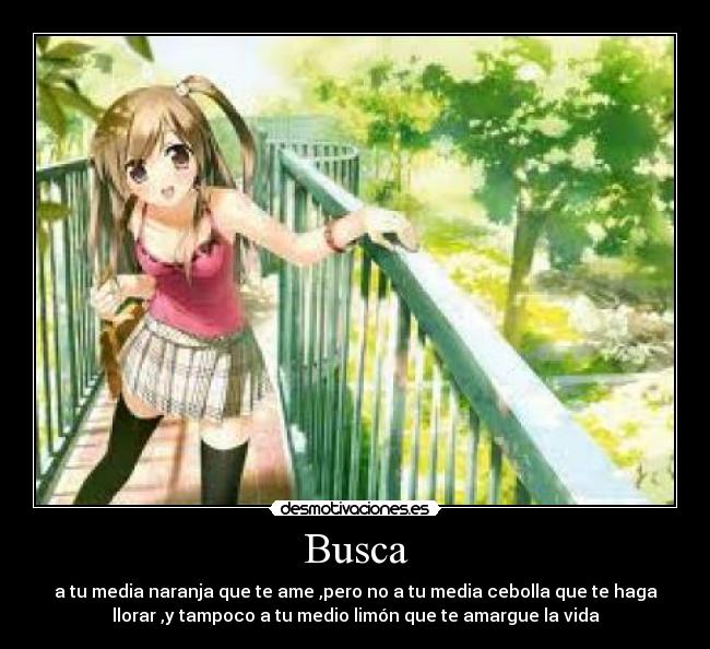 Busca - 