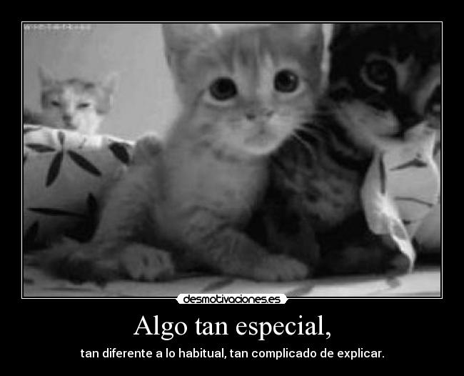 Algo tan especial, -