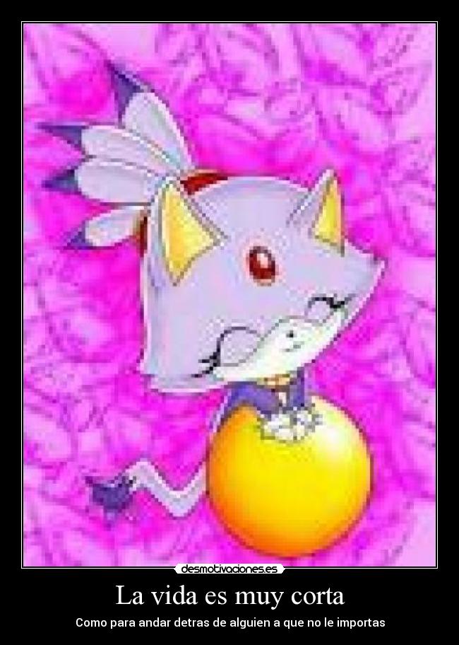 La vida es muy corta - Como para andar detras de alguien a que no le importas