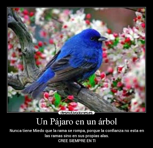 Un Pájaro en un árbol -