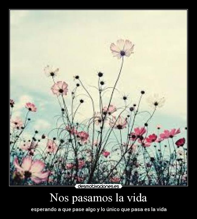 Nos pasamos la vida - esperando a que pase algo y lo único que pasa es la vida