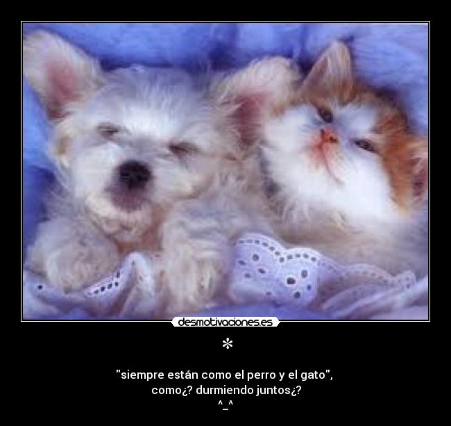 * - siempre están como el perro y el gato,
como¿? durmiendo juntos¿?
^_^