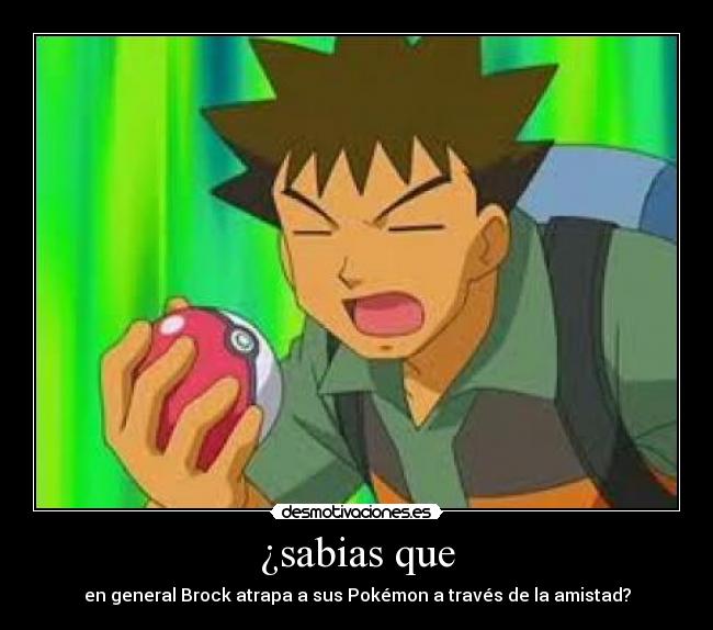 ¿sabias que - en general Brock atrapa a sus Pokémon a través de la amistad?