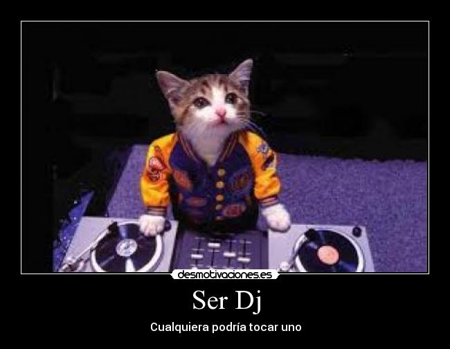 Ser Dj -