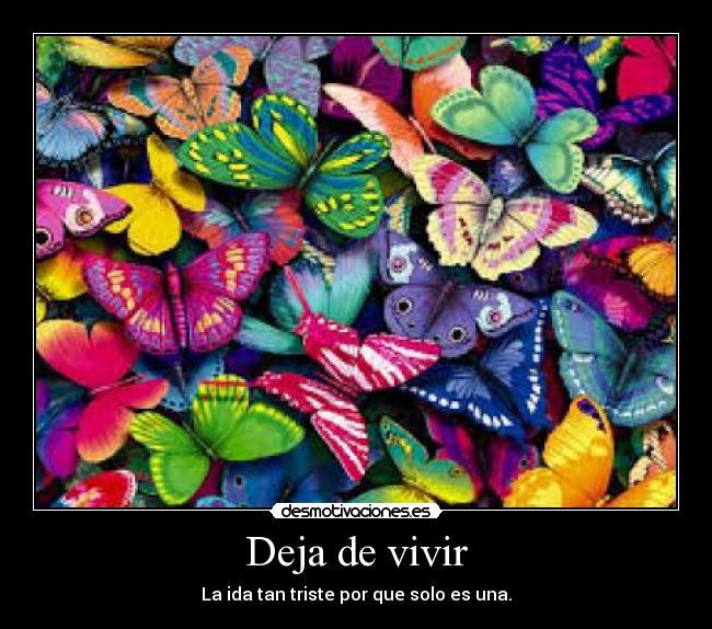 carteles darkbutterfly desmotivaciones