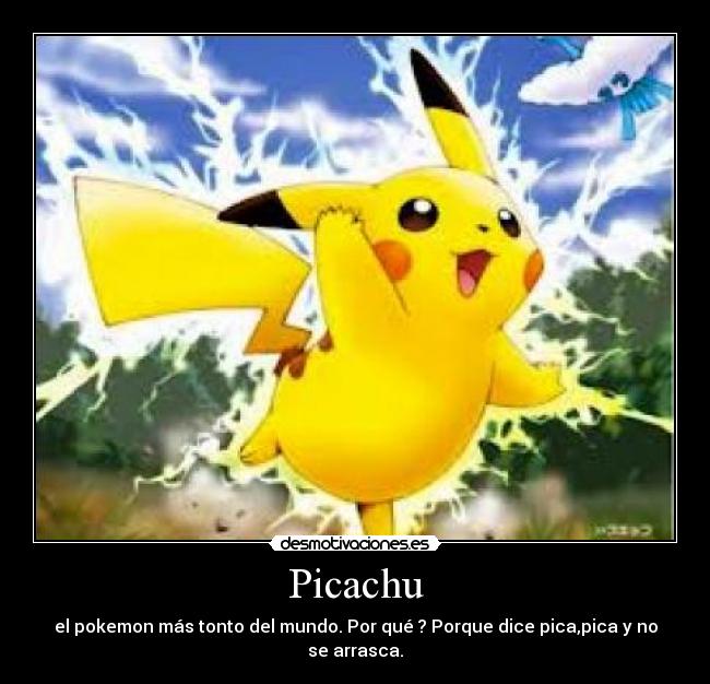 Picachu - el pokemon más tonto del mundo. Por qué ? Porque dice pica,pica y no se arrasca.