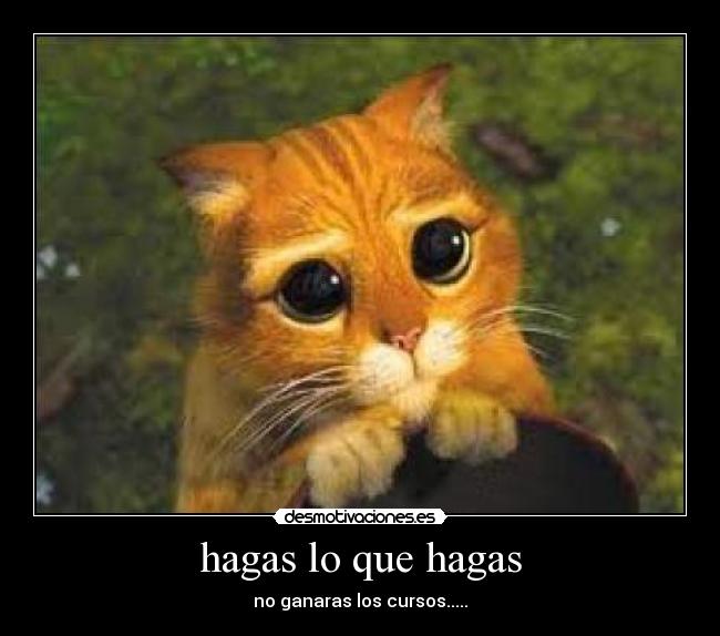 hagas lo que hagas - no ganaras los cursos.....
