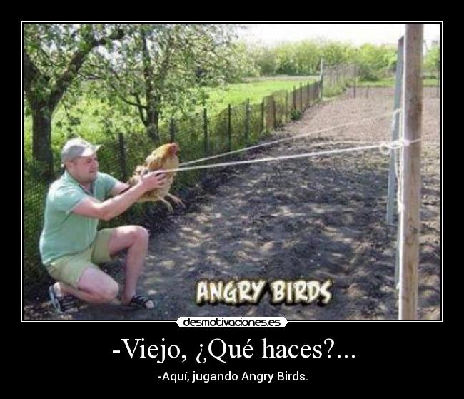 -Viejo, ¿Qué haces?... - -Aquí, jugando Angry Birds.