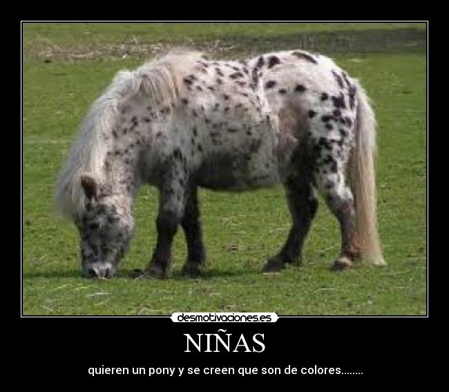 carteles animales desmotivaciones