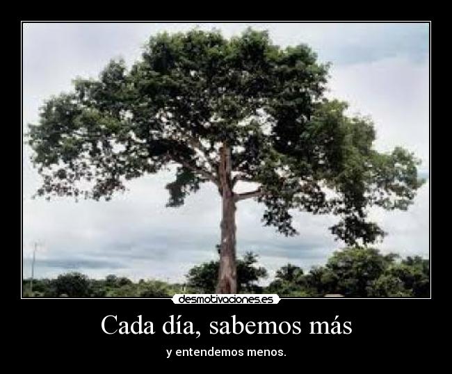 Cada día, sabemos más - y entendemos menos.