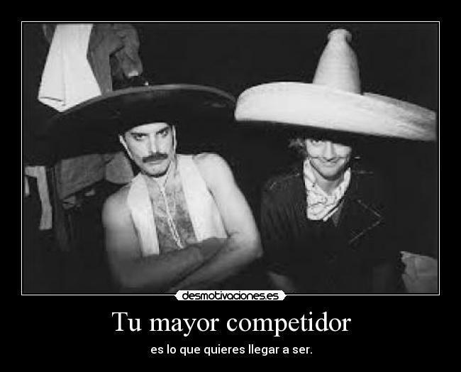 carteles competencia legal desmotivaciones