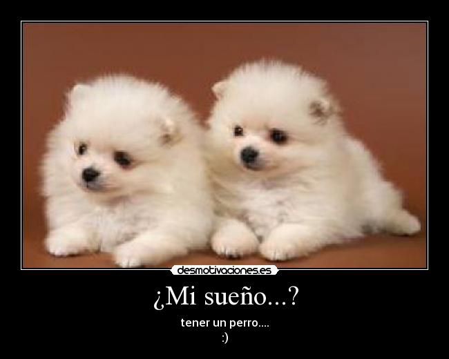 ¿Mi sueño...? - 