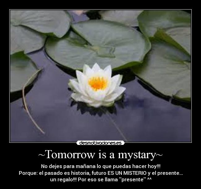 ~Tomorrow is a mystary~ -