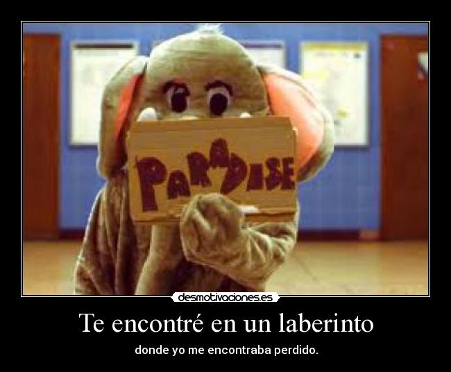 Te encontré en un laberinto - donde yo me encontraba perdido.