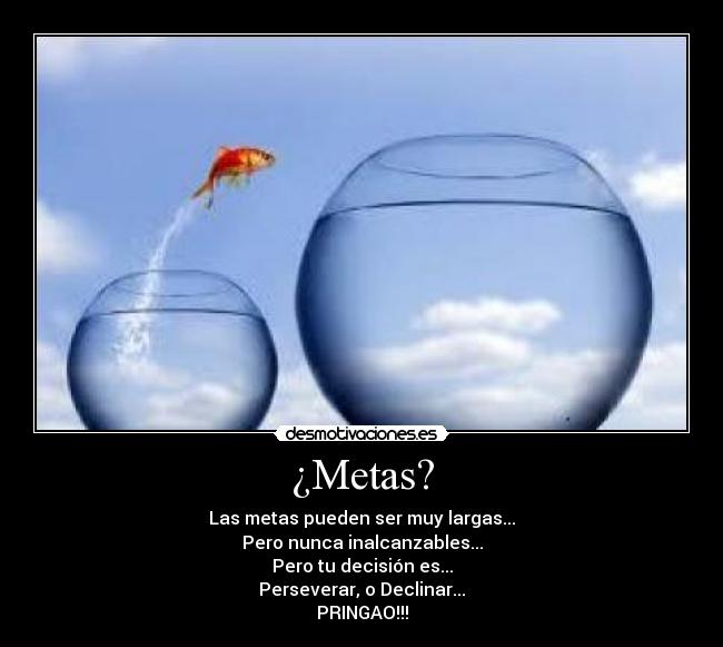 ¿Metas? - Las metas pueden ser muy largas...
Pero nunca inalcanzables...
Pero tu decisión es...
Perseverar, o Declinar...
PRINGAO!!!