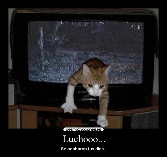 Luchooo... - Se acabaron tus días...