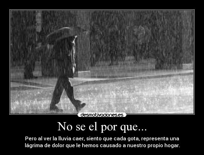 No se el por que... - Pero al ver la lluvia caer, siento que cada gota, representa una
lágrima de dolor que le hemos causado a nuestro propio hogar.