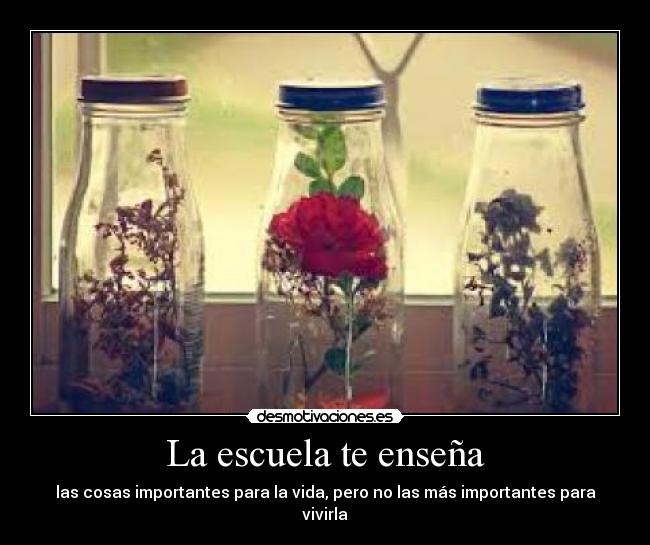 La escuela te enseña - las cosas importantes para la vida, pero no las más importantes para vivirla