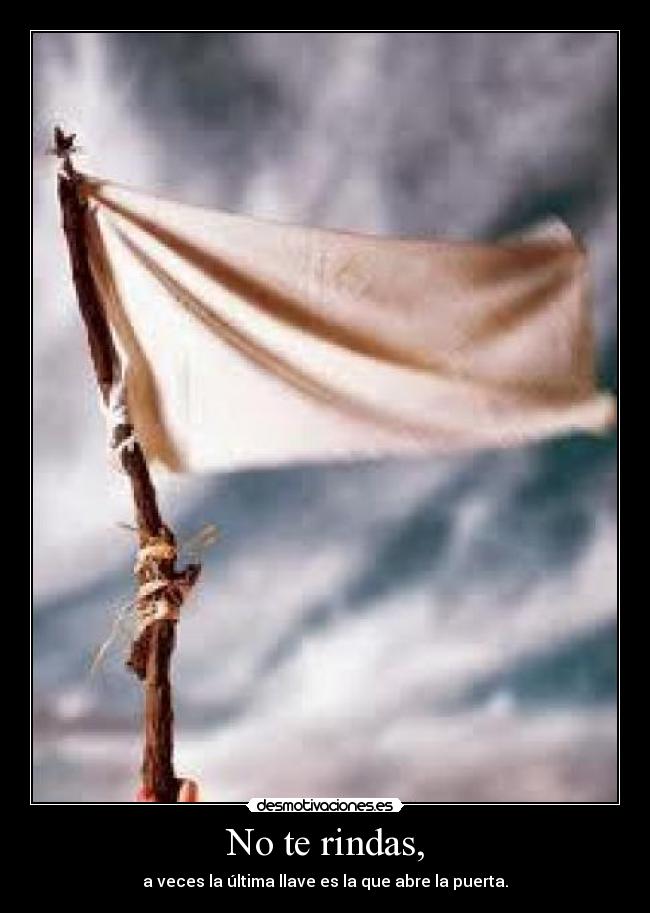 No te rindas, - 