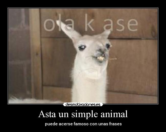Asta un simple animal - 