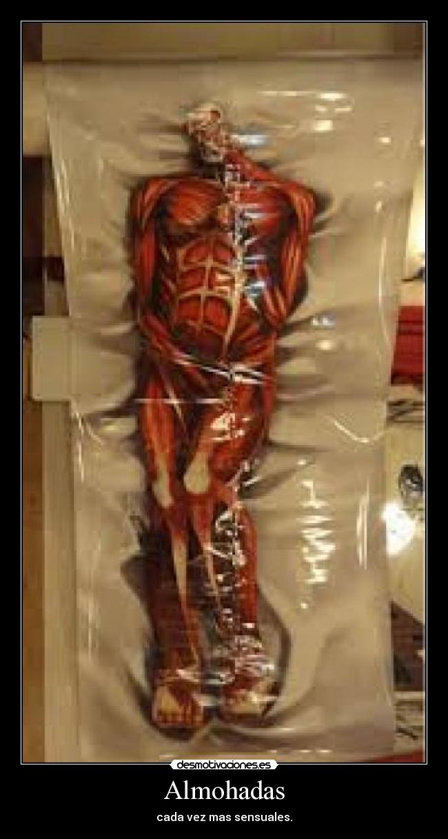 carteles anime desmotivaciones