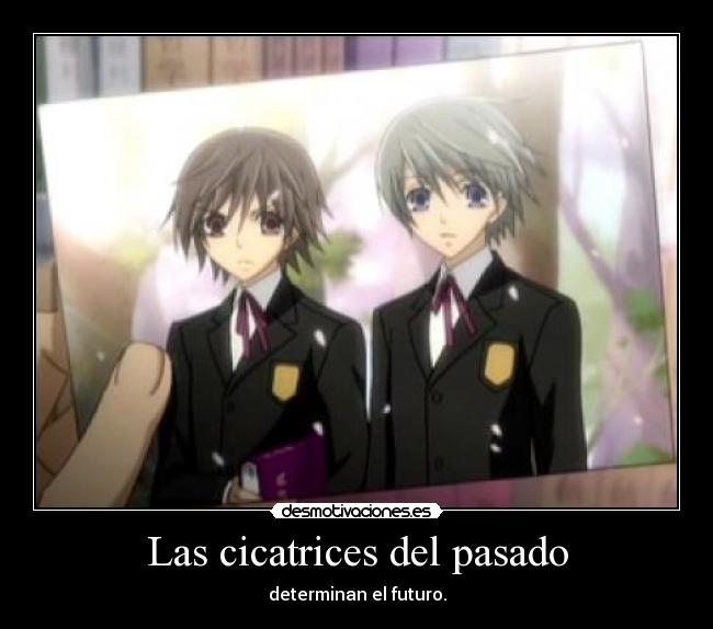 carteles pasado anime manga junjou romantica usagui peque las cicatrices del pasado hacen futuro desmotivaciones