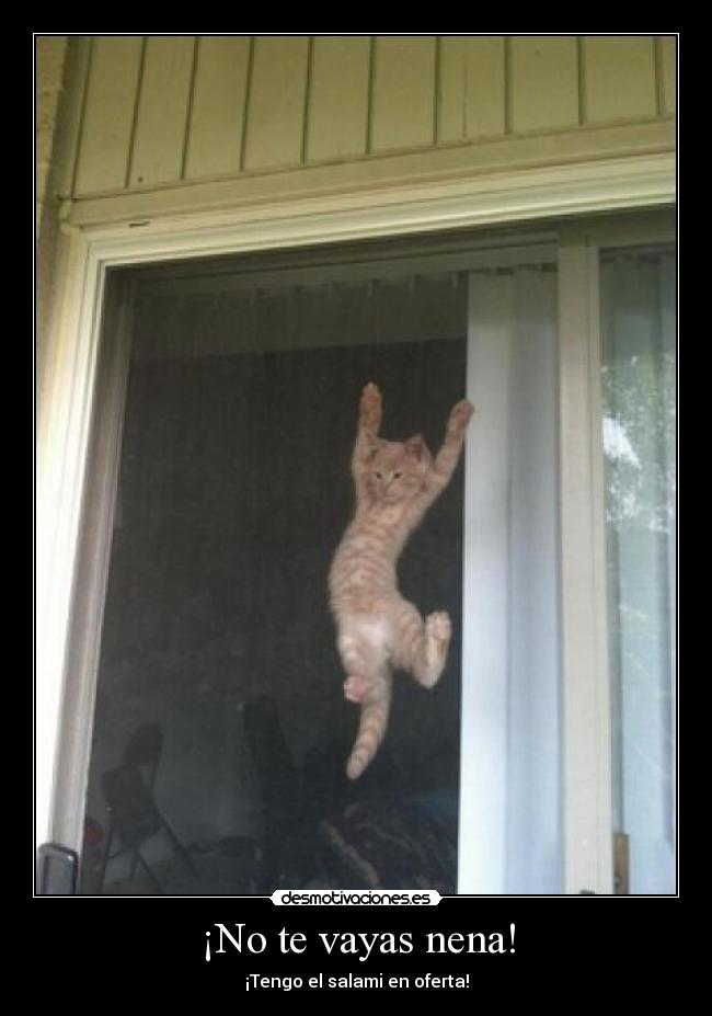 ¡No te vayas nena! - 