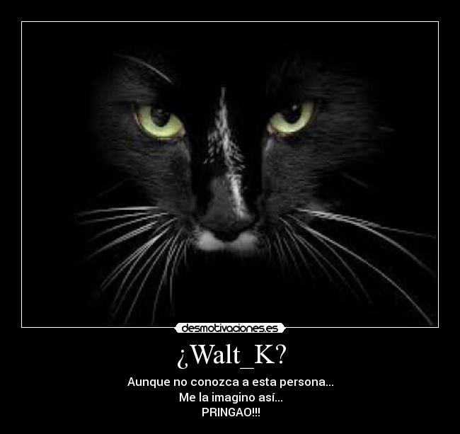 ¿Walt_K? - Aunque no conozca a esta persona...
Me la imagino así...
PRINGAO!!!