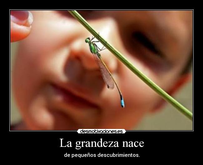 La grandeza nace - 