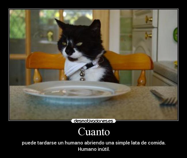 Cuanto - puede tardarse un humano abriendo una simple lata de comida.
Humano inútil.