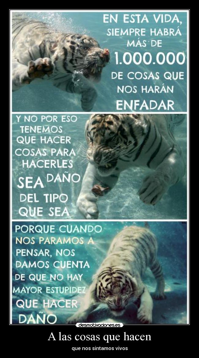 A las cosas que hacen - 