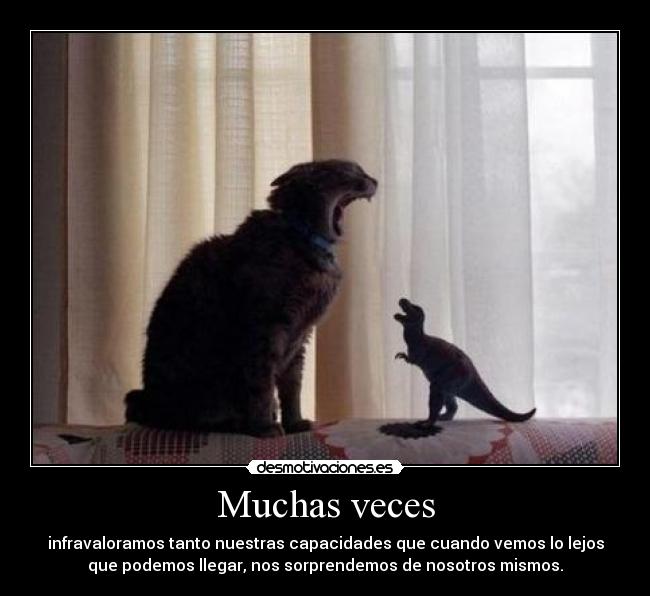 carteles flyingbir gatosaurio nos comer todos desmotivaciones