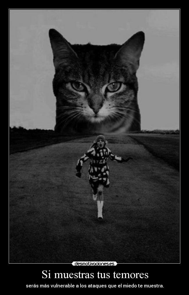 Si muestras tus temores - 