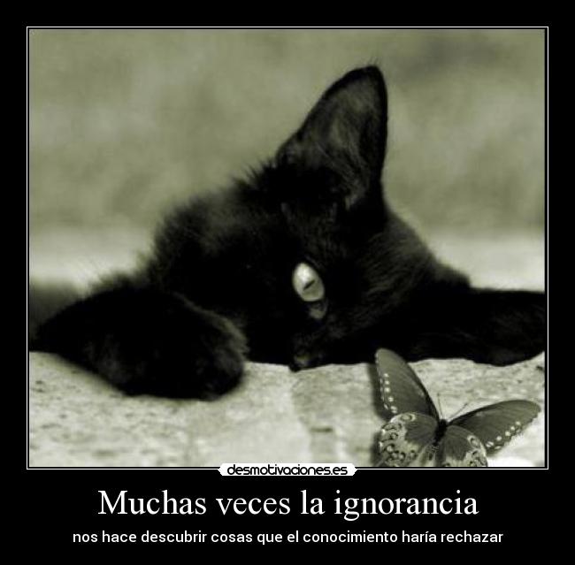 Muchas veces la ignorancia - nos hace descubrir cosas que el conocimiento haría rechazar