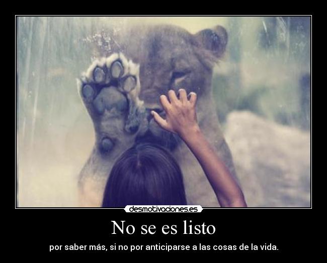 No se es listo - por saber más, si no por anticiparse a las cosas de la vida.