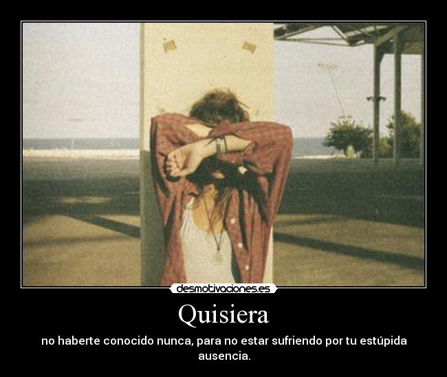 Quisiera - no haberte conocido nunca, para no estar sufriendo por tu estúpida ausencia.