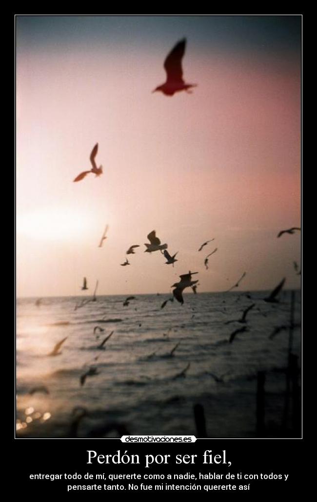 carteles perdon fiel entregar quererte hablar to7do pensarte intencion desmotivaciones
