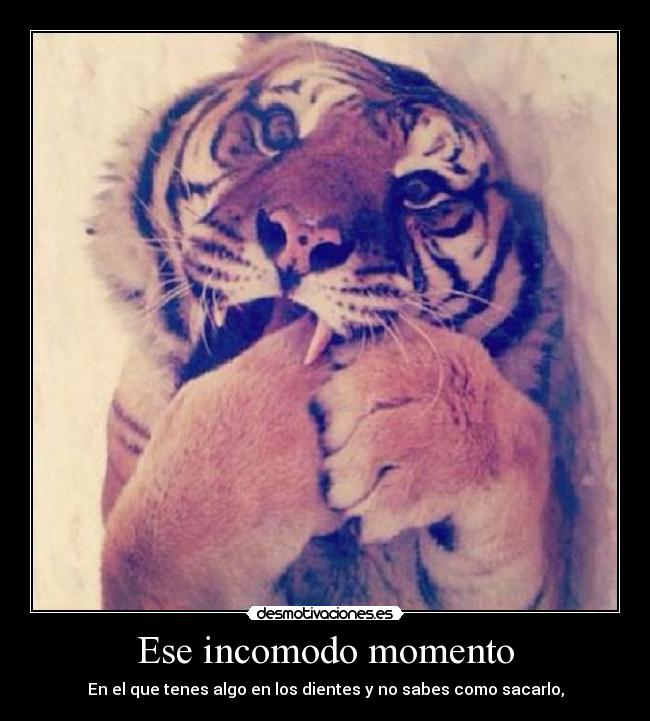 Ese incomodo momento - En el que tenes algo en los dientes y no sabes como sacarlo,